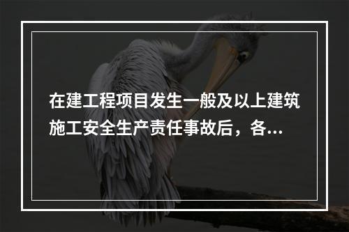 在建工程项目发生一般及以上建筑施工安全生产责任事故后，各级招