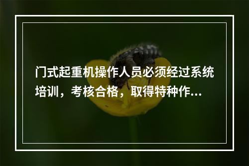 门式起重机操作人员必须经过系统培训，考核合格，取得特种作业操