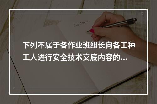 下列不属于各作业班组长向各工种工人进行安全技术交底内容的是（