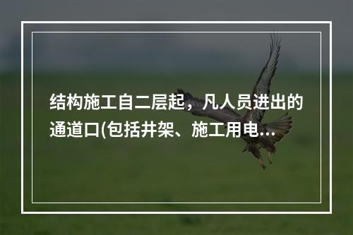 结构施工自二层起，凡人员进出的通道口(包括井架、施工用电梯的