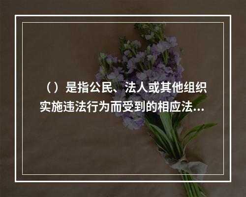 （ ）是指公民、法人或其他组织实施违法行为而受到的相应法律制