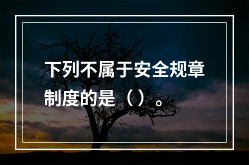 下列不属于安全规章制度的是（ ）。