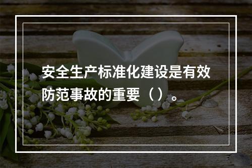 安全生产标准化建设是有效防范事故的重要（ ）。