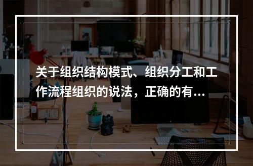 关于组织结构模式、组织分工和工作流程组织的说法，正确的有（　