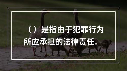 （ ）是指由于犯罪行为所应承担的法律责任。