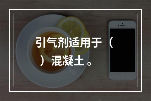 引气剂适用于（   ）混凝土 。