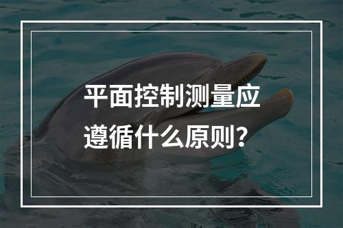 平面控制测量应遵循什么原则？