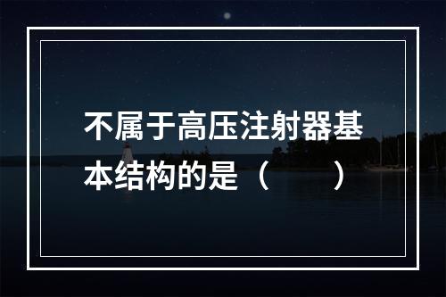 不属于高压注射器基本结构的是（　　）