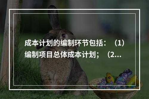 成本计划的编制环节包括：（1）编制项目总体成本计划；（2）确