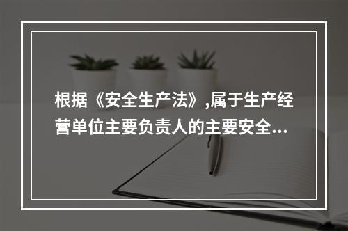 根据《安全生产法》,属于生产经营单位主要负责人的主要安全生产