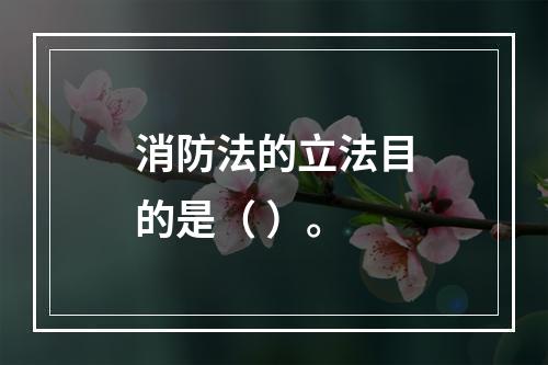 消防法的立法目的是（ ）。