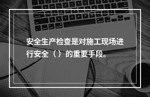 安全生产检查是对施工现场进行安全（ ）的重要手段。