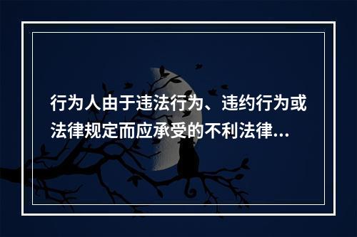 行为人由于违法行为、违约行为或法律规定而应承受的不利法律后果