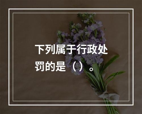 下列属于行政处罚的是（ ）。