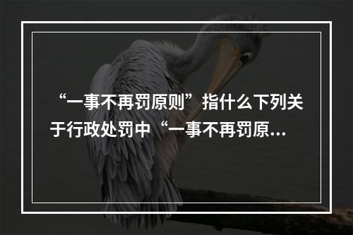 “一事不再罚原则”指什么下列关于行政处罚中“一事不再罚原则”