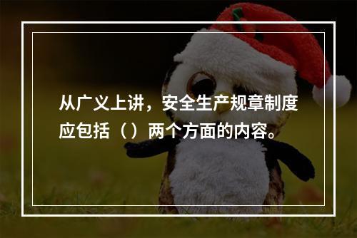 从广义上讲，安全生产规章制度应包括（ ）两个方面的内容。