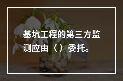 基坑工程的第三方监测应由（ ）委托。