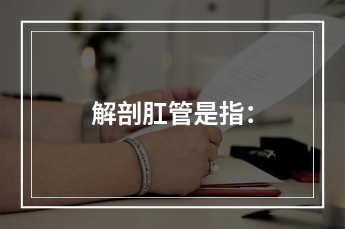 解剖肛管是指：