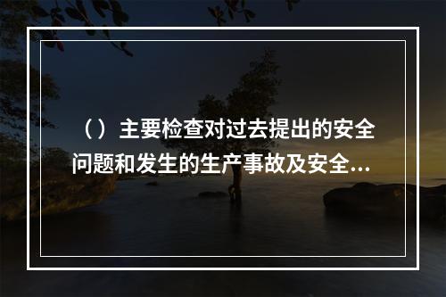 （ ）主要检查对过去提出的安全问题和发生的生产事故及安全隐患