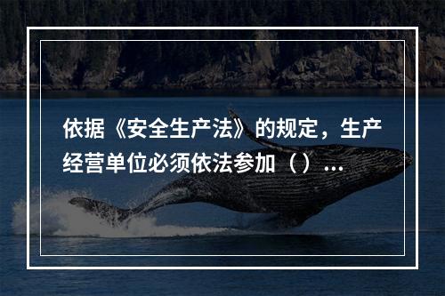 依据《安全生产法》的规定，生产经营单位必须依法参加（ ），为