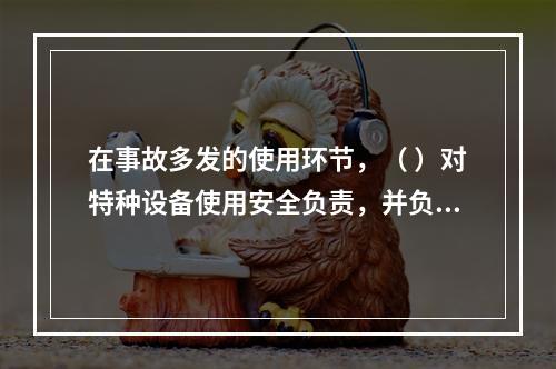 在事故多发的使用环节，（ ）对特种设备使用安全负责，并负有对