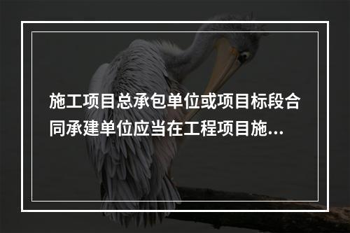 施工项目总承包单位或项目标段合同承建单位应当在工程项目施工期