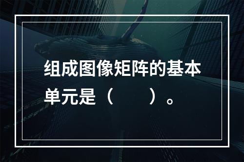 组成图像矩阵的基本单元是（　　）。