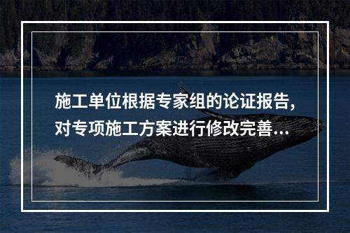 施工单位根据专家组的论证报告,对专项施工方案进行修改完善,并