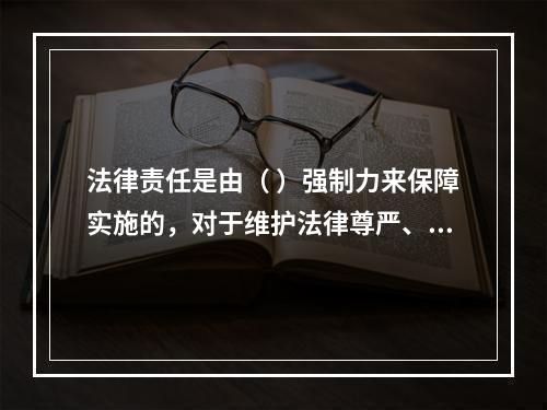 法律责任是由（ ）强制力来保障实施的，对于维护法律尊严、教育