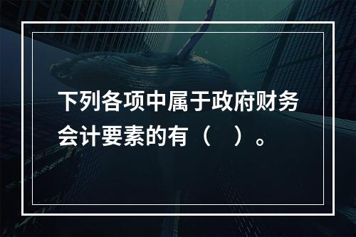 下列各项中属于政府财务会计要素的有（　）。