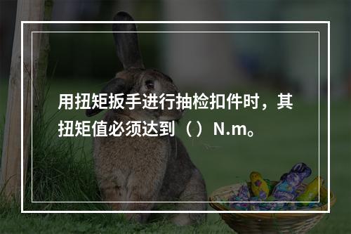 用扭矩扳手进行抽检扣件时，其扭矩值必须达到（ ）N.m。