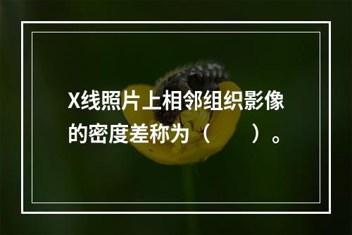 X线照片上相邻组织影像的密度差称为（　　）。