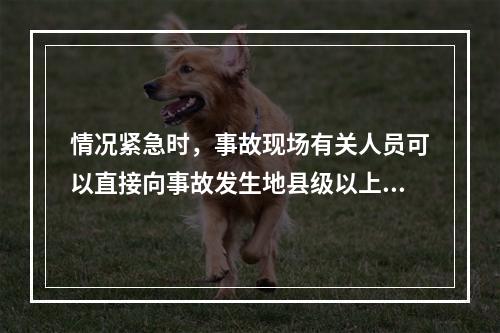 情况紧急时，事故现场有关人员可以直接向事故发生地县级以上人民