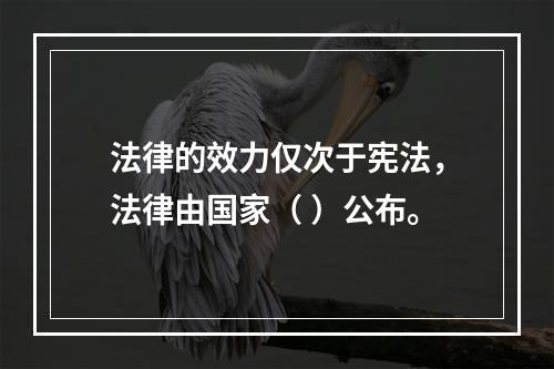 法律的效力仅次于宪法，法律由国家（ ）公布。