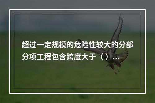 超过一定规模的危险性较大的分部分项工程包含跨度大于（ ）米及