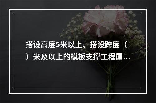 搭设高度5米以上、搭设跨度（ ）米及以上的模板支撑工程属于危