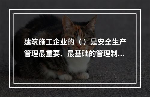 建筑施工企业的（ ）是安全生产管理最重要、最基础的管理制度。