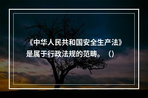 《中华人民共和国安全生产法》是属于行政法规的范畴。（）