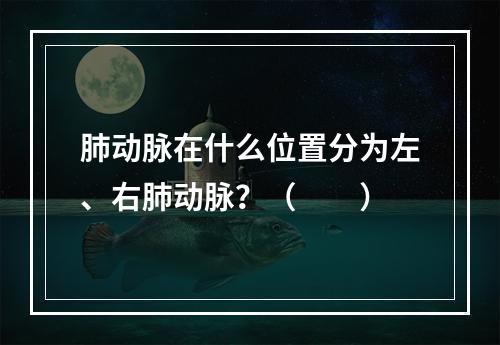 肺动脉在什么位置分为左、右肺动脉？（　　）