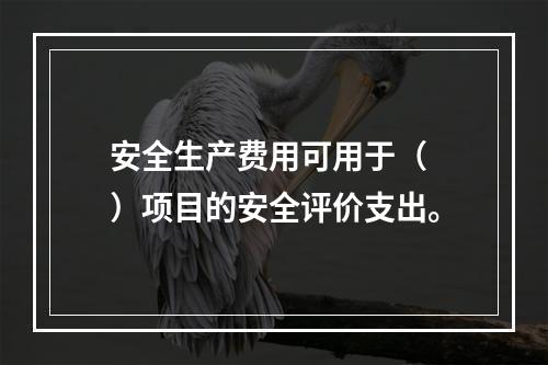 安全生产费用可用于（ ）项目的安全评价支出。