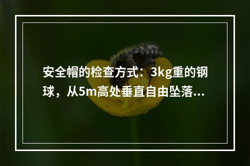 安全帽的检查方式：3kg重的钢球，从5m高处垂直自由坠落冲击