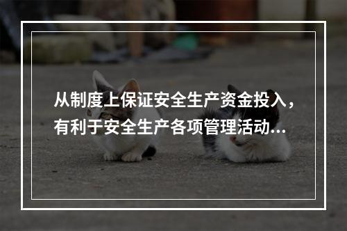 从制度上保证安全生产资金投入，有利于安全生产各项管理活动顺利