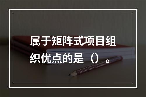 属于矩阵式项目组织优点的是（）。