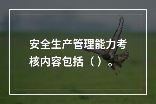 安全生产管理能力考核内容包括（ ）。