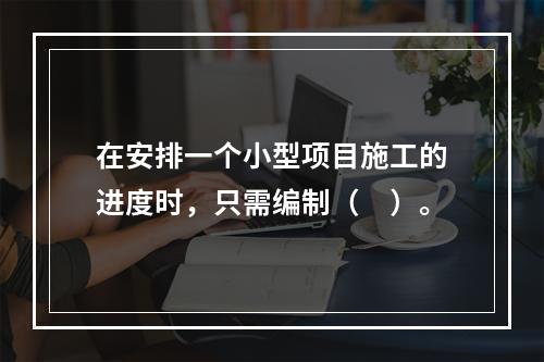 在安排一个小型项目施工的进度时，只需编制（　）。