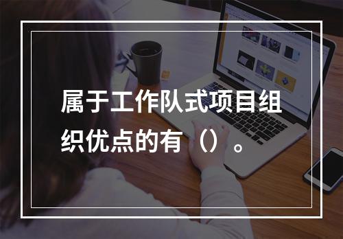 属于工作队式项目组织优点的有（）。