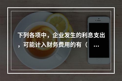 下列各项中，企业发生的利息支出，可能计入财务费用的有（　）。