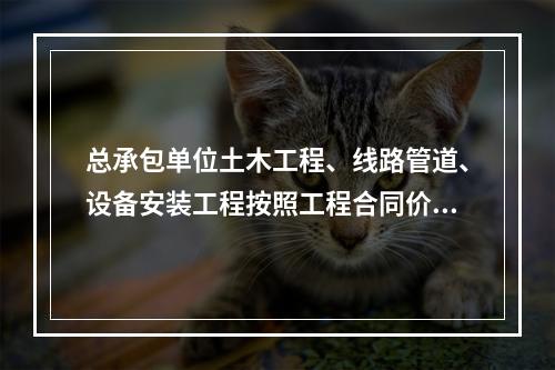 总承包单位土木工程、线路管道、设备安装工程按照工程合同价配备