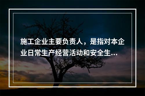 施工企业主要负责人，是指对本企业日常生产经营活动和安全生产工