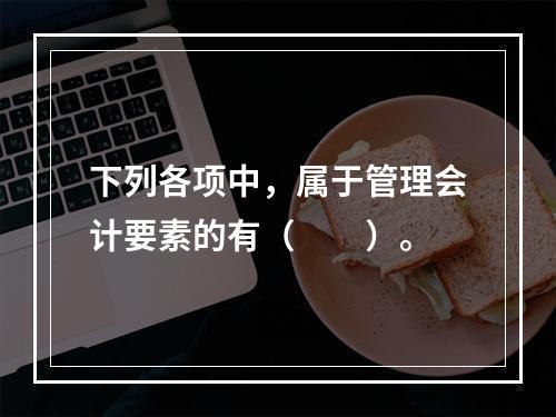 下列各项中，属于管理会计要素的有（　　）。